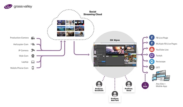 gv-alyve-producer-diagram_small